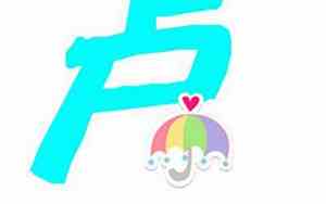 卢字网名