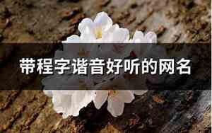 带程字的网名