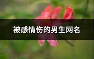 伤感情的网名