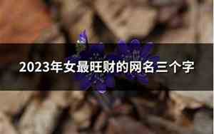 旺财的网名
