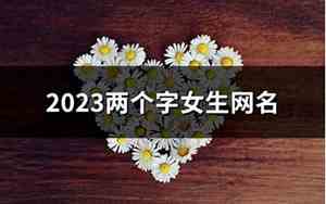 两个字女网名