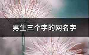 男生网名字