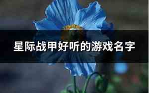 好听的甲士名字