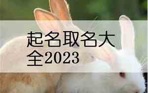 兔宝宝名字大全姓氏马