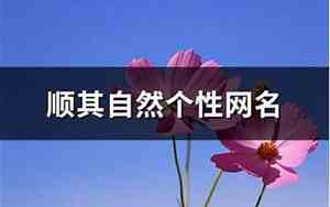 用顺其网名
