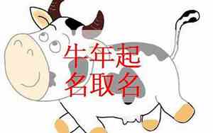 金牛宝宝属木名字