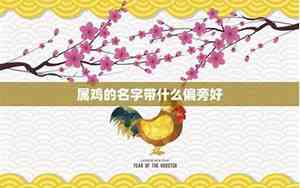 猪宝宝属鸡的名字