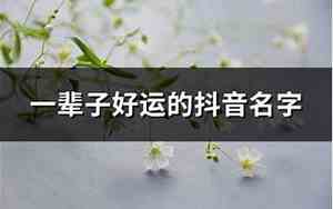 我家好运宝宝抖音名字