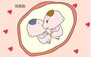 双胎宝宝名字文案