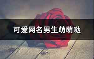 可爱网名男生萌萌达