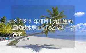 缺木男虎宝宝名字