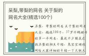 带梨的网名
