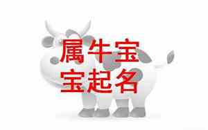 姓戴猪宝宝的名字