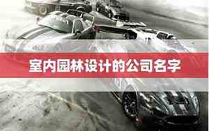 给销售枸杞的公司起名字