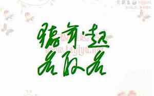 猪宝宝姓马的名字