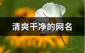 清爽的网名