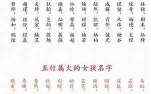 火命人公司起名字大全